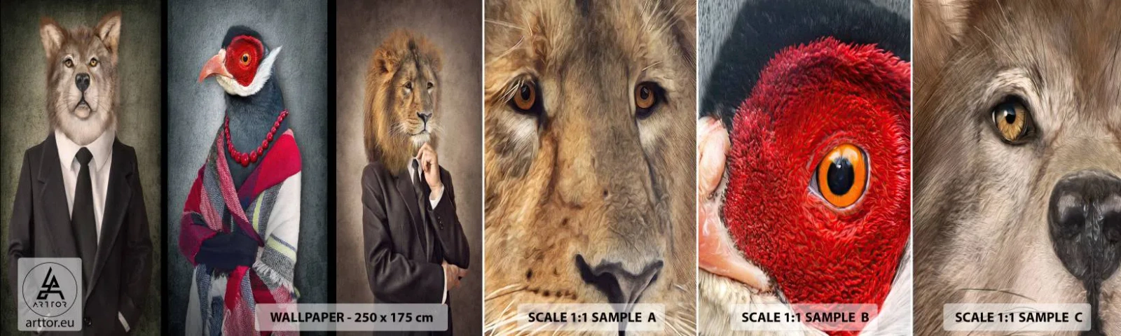 Vzor Fototapety Samolepicí Deluxe Sticker - Co tady dělám?! - Abstrakce, Pes, Pták - 100x30 cm