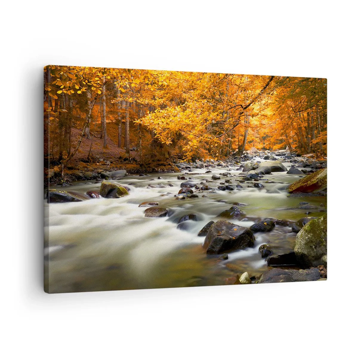 Obraz na plátně - Potok v podzimním lese obklopený zlatým listím - 70x50cm - Potok ve zlatém lese - Moderní nástěnná dekorace do obývacího pokoje a ložnice ARTTOR
