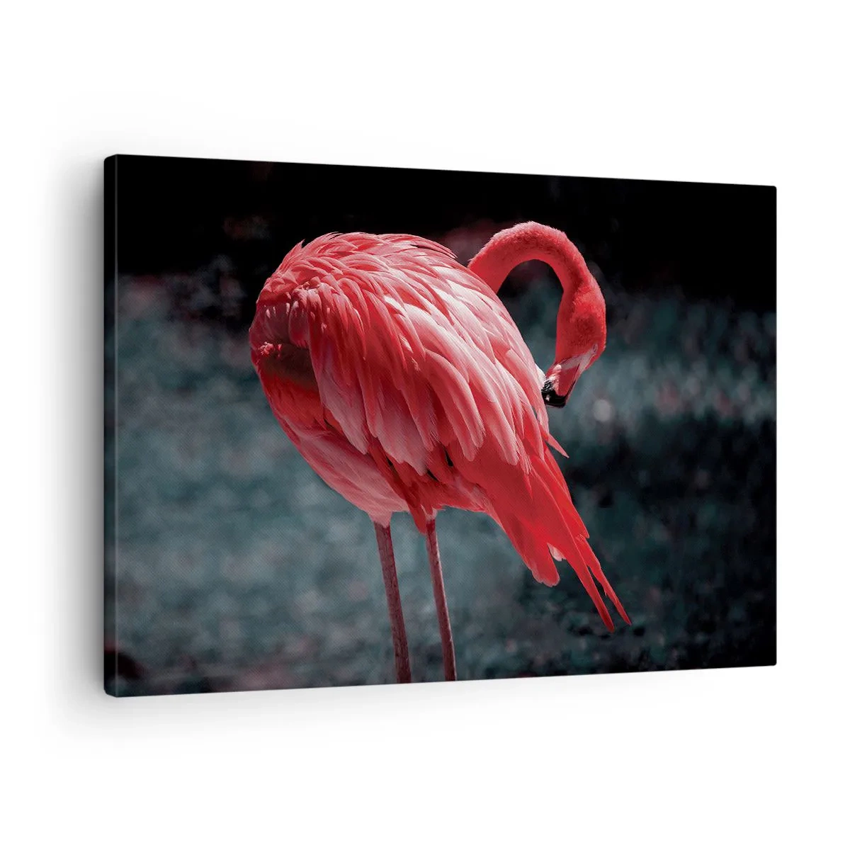 Obraz na plátně - Růžový plameňák na tmavě zeleném pozadí - 70x50cm - Karmínová báseň přírody - Moderní nástěnná dekorace do obývacího pokoje a ložnice ARTTOR