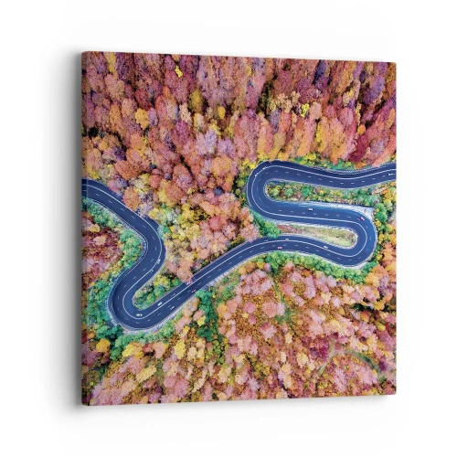 Obraz na plátně - Klikatá cesta lesem - 40x40 cm