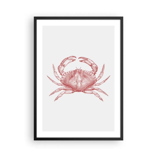 Plakát v černém rámu - Vintage krab kresba na světlém pozadí - 50x70cm - Krab nad kraby - Moderní nástěnná dekorace do obývacího pokoje a ložnice ARTTOR