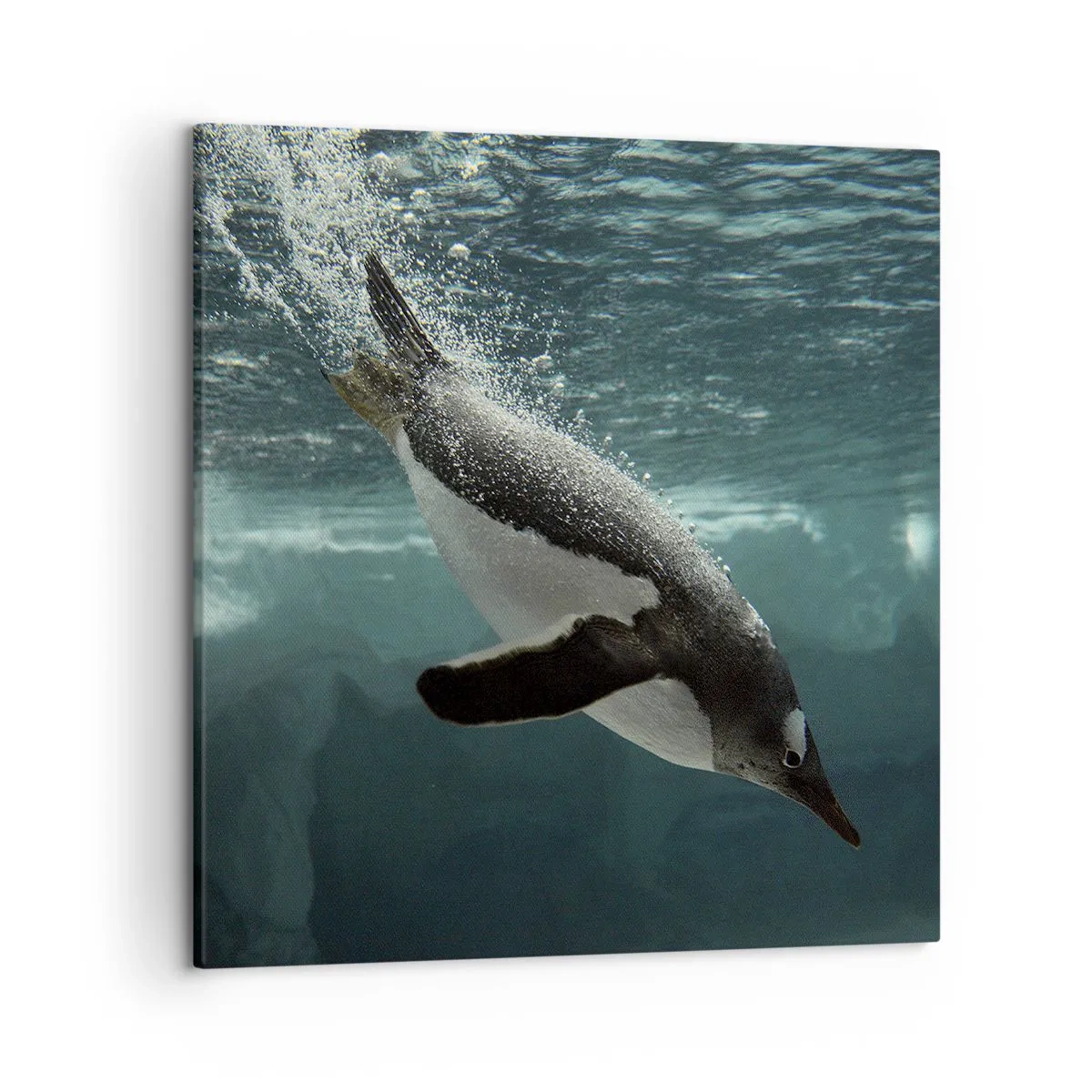 Obraz na plátně - Vítejte v mém světě - 50x50 cm