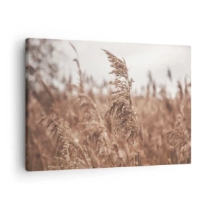 Obraz na plátně - Zlaté trávy na pozadí podzimní krajiny - 70x50cm - Na polích už je podzim - Moderní nástěnná dekorace do obývacího pokoje a ložnice ARTTOR