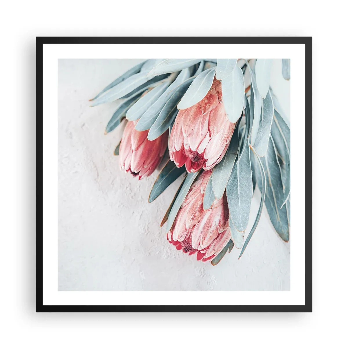 Plakát v černém rámu - Zahanbené svou vlastní krásou - 60x60 cm