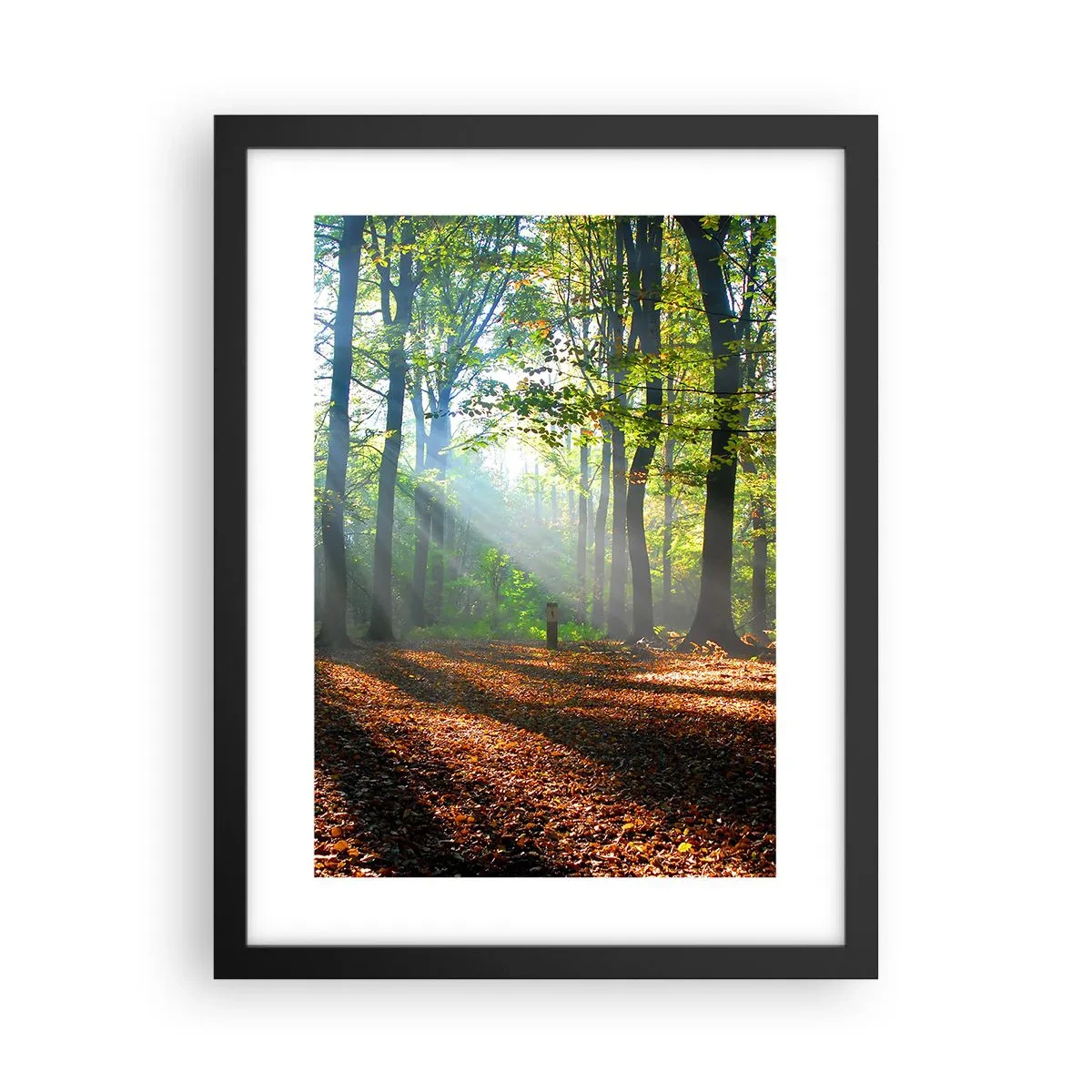 Plakát v černém rámu - Světla a stíny - 30x40 cm