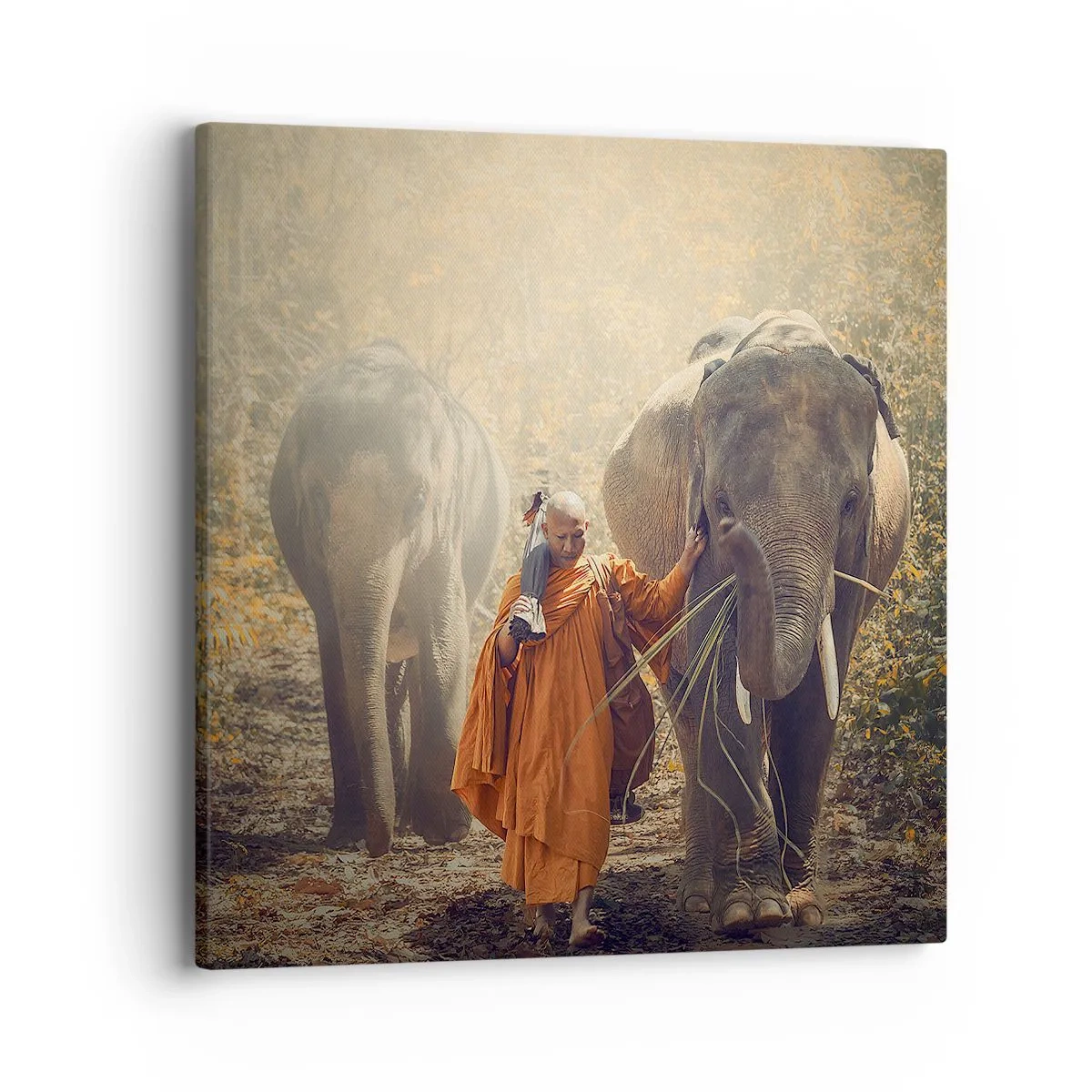 Obraz na plátně - Plné pochopení - 40x40 cm