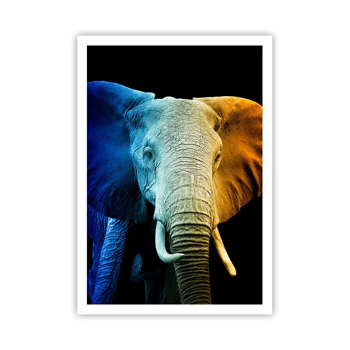 Plakát - Výstřední muž, ale ne podivín - 70x100 cm