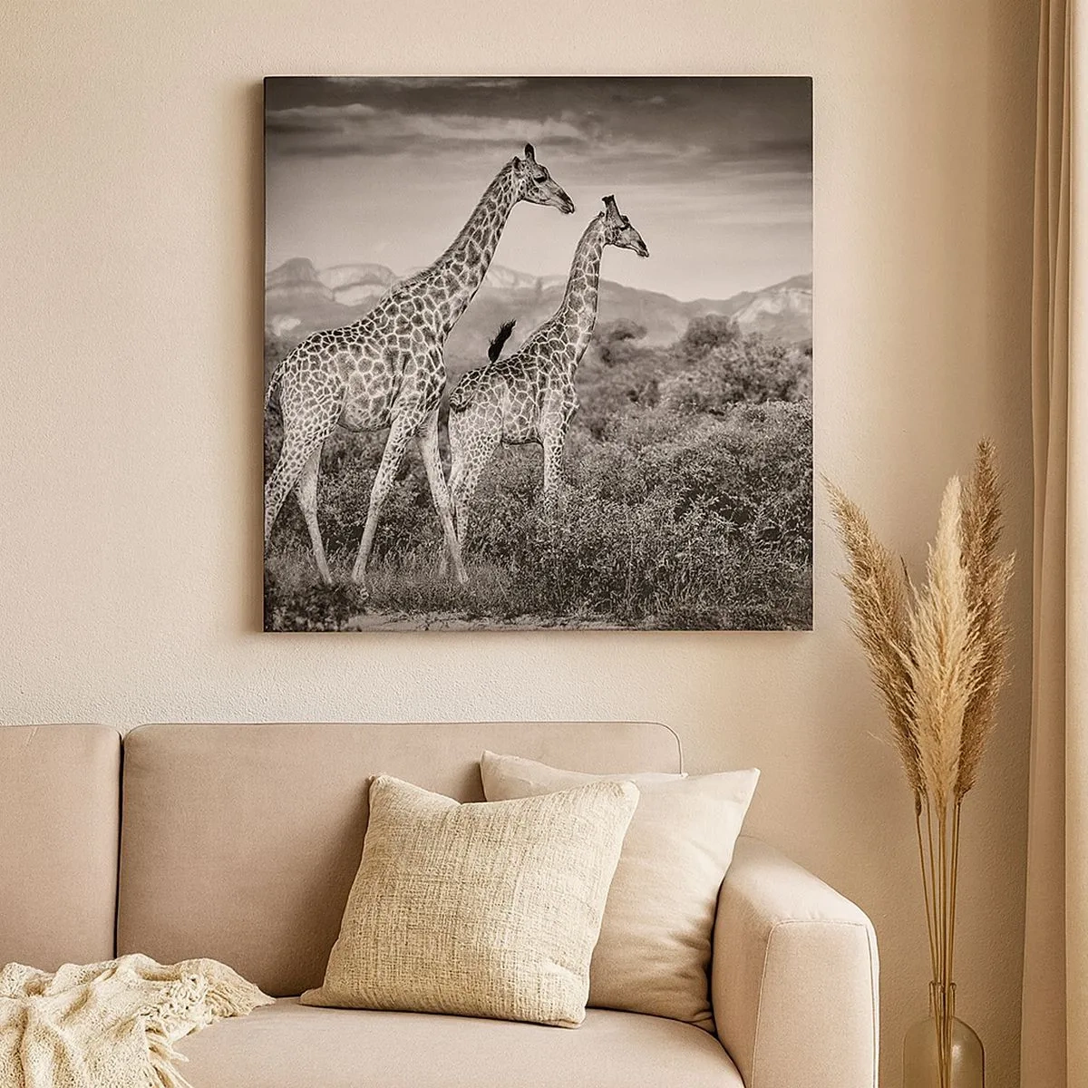 Obraz na plátně - Vyšší kruhy v Africe - 30x30 cm