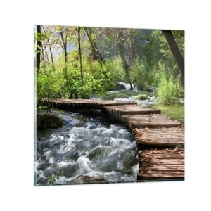 Obraz na skle - U zpěněného vodopádu - 70x70 cm