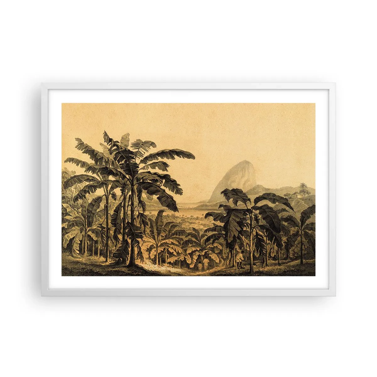 Plakát v bílém rámu - V koloniálním stylu - 70x50 cm