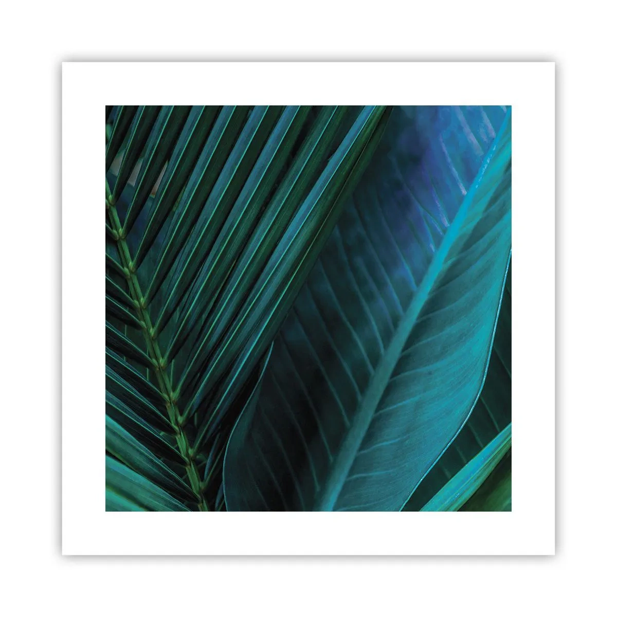 Plakát - Anatomie zelené - 40x40 cm