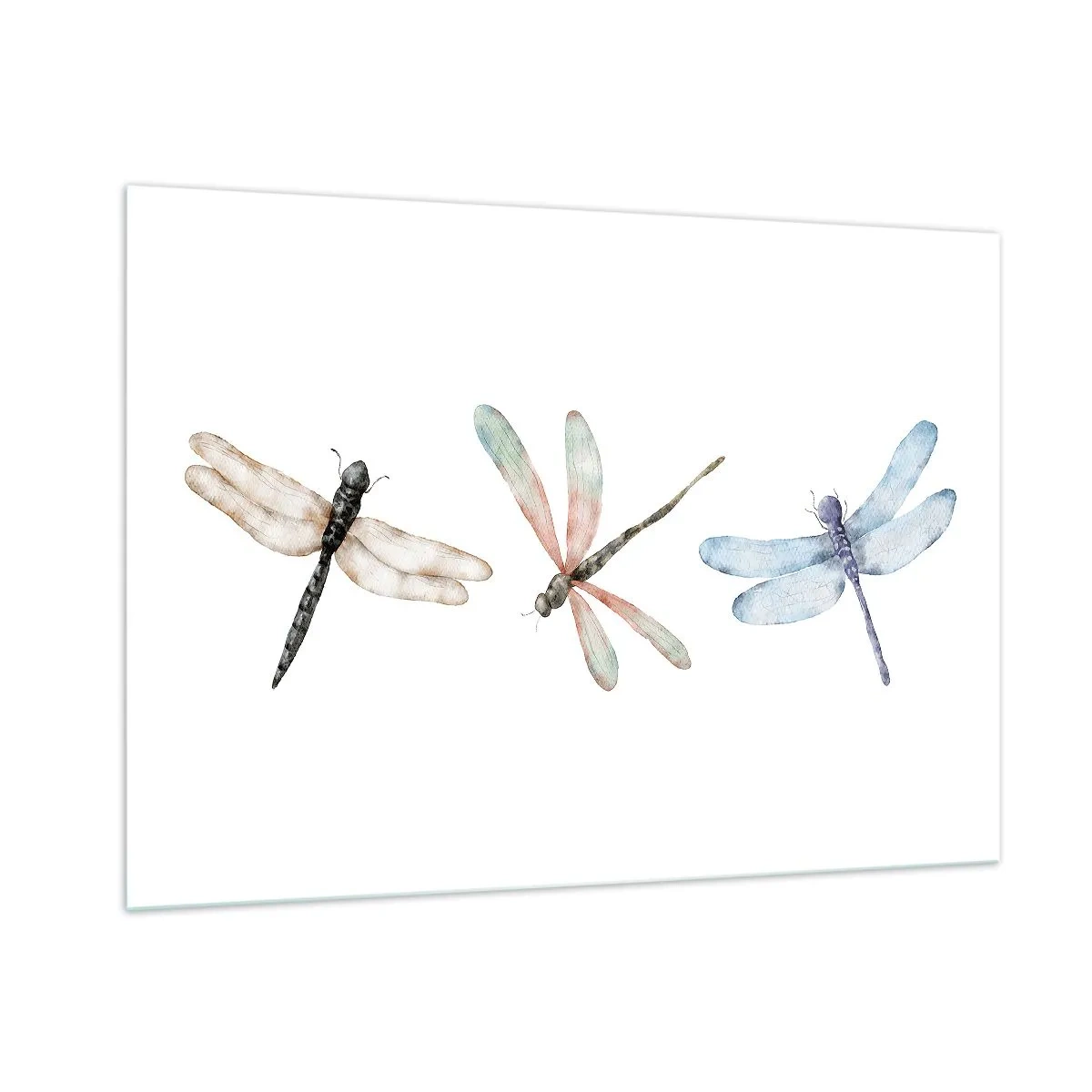 Obraz na skle - Beztížné vážky - 100x70 cm