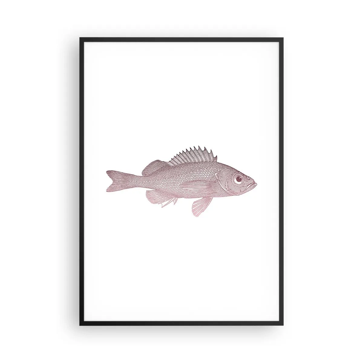 Plakát v černém rámu - Ryba s velkýma očima - 70x100 cm