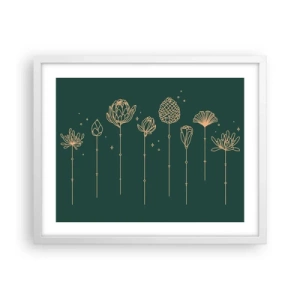 Plakát v bílém rámu - Bylinky - 50x40 cm