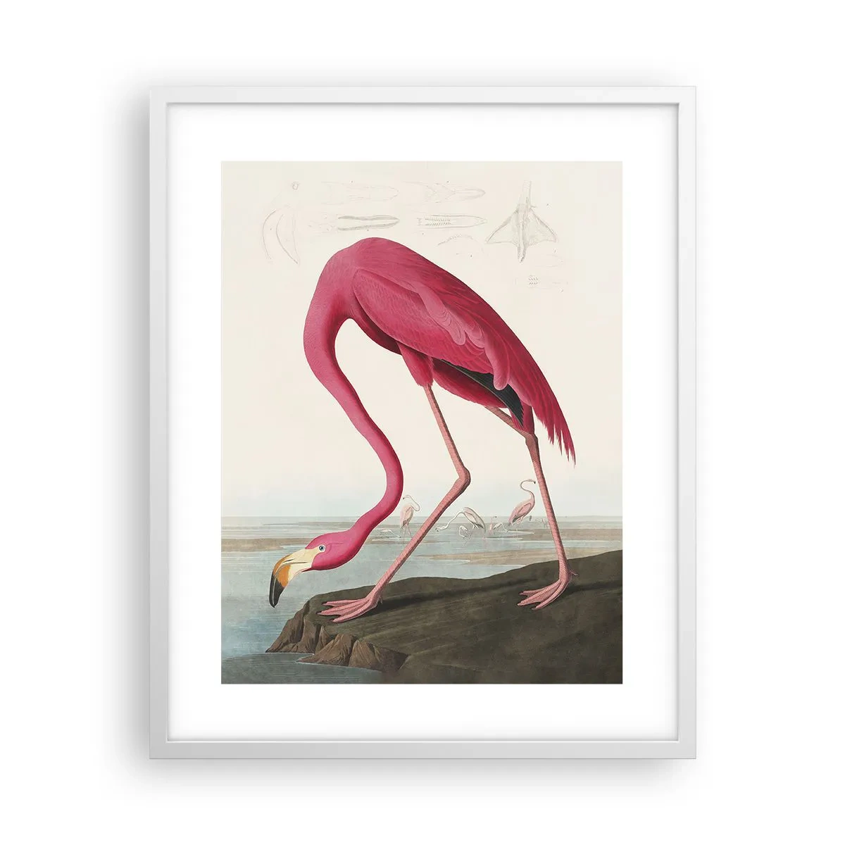 Plakát v bílém rámu - Úžasná stvůra - 40x50 cm