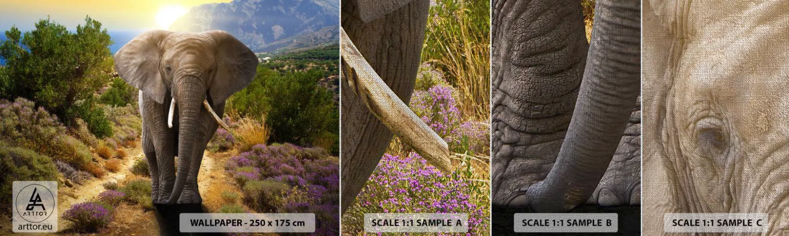 Vzor Fototapety Premium Canvas - Tak vypadal Ráj - Zvířata, Slon, Safari - 100x30 cm