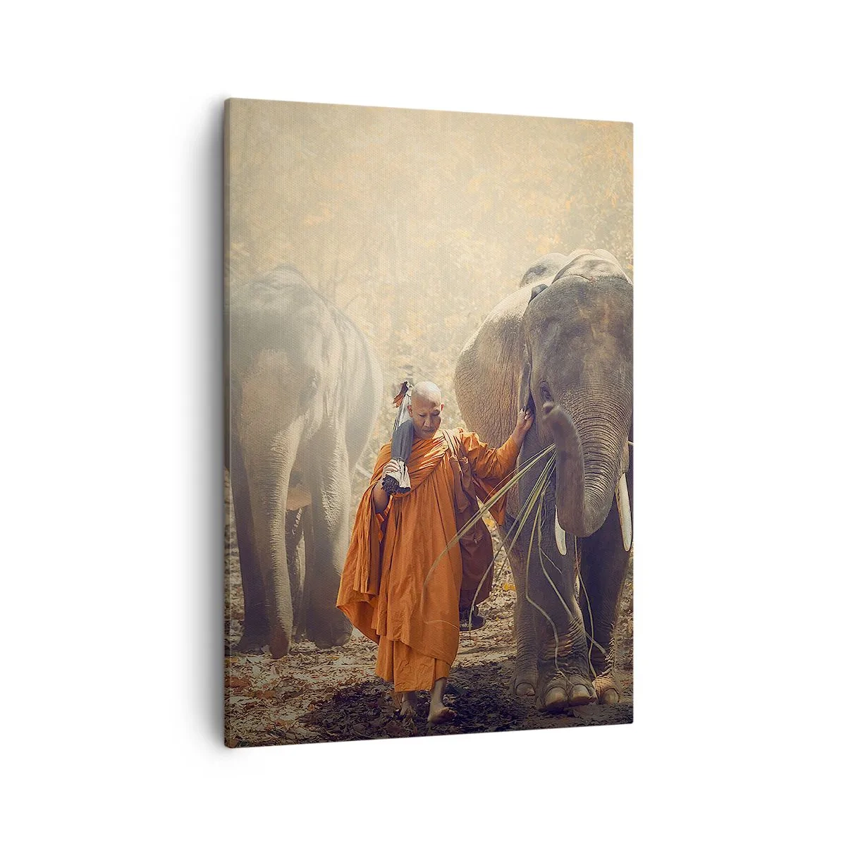 Obraz na plátně - Plné pochopení - 50x70 cm