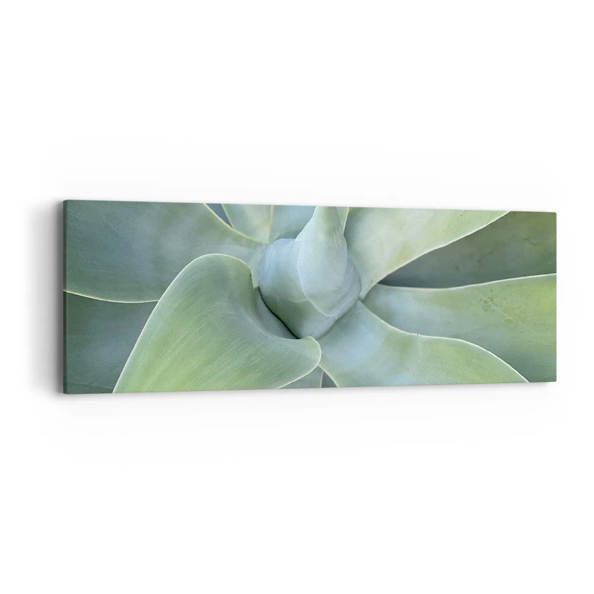 Obraz na plátně - Zrození zeleně - 90x30 cm