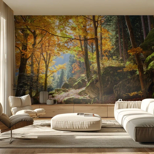 Fototapeta Standard Eco - Čas na odpočinek - Krajina, Les, Příroda - 350x256 cm
