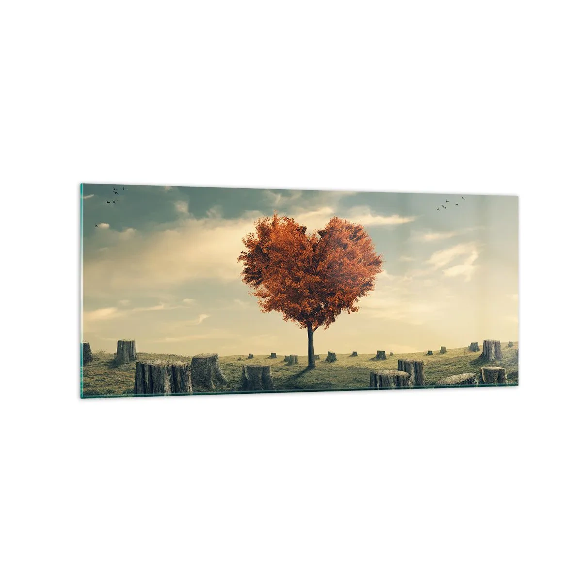 Obraz na skle - Pořád je ještě naděje - 120x50 cm