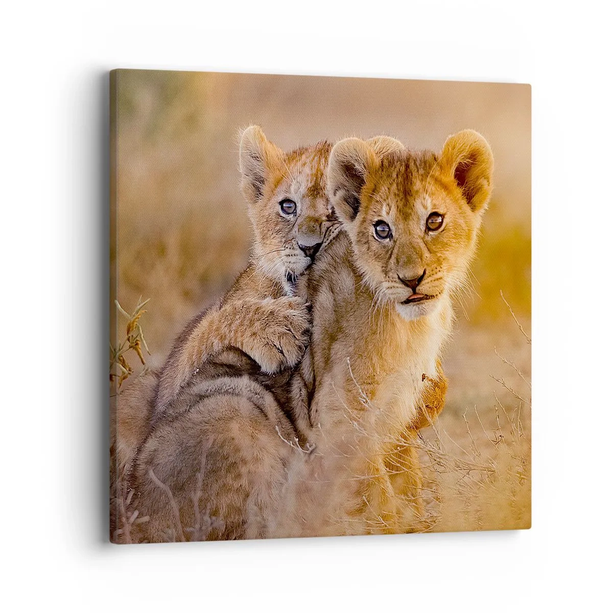 Obraz na plátně - Nevyrušovat! Hrajme si - 40x40 cm