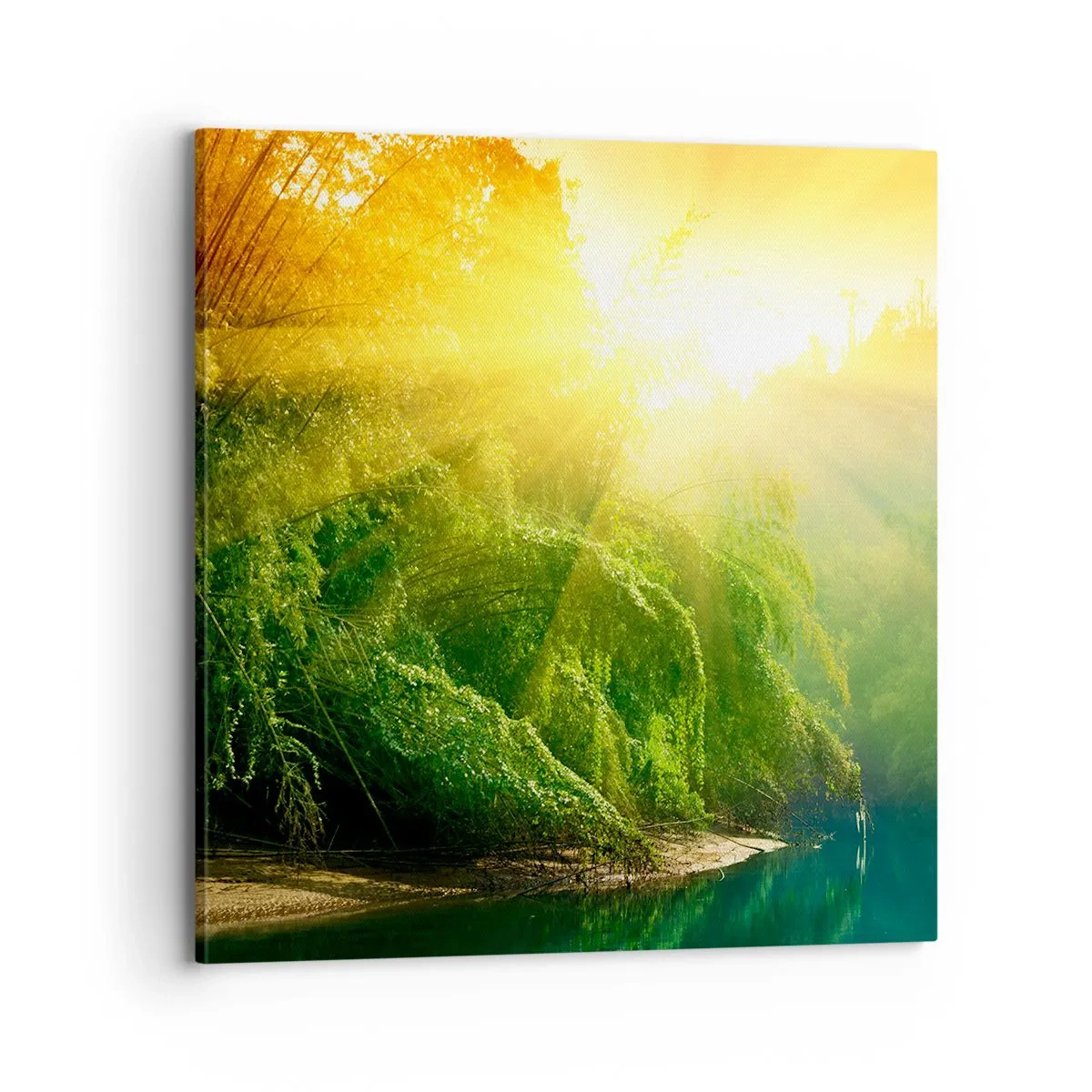 Obraz na plátně - Utopit se ve sluncí a ve stínu - 70x70 cm