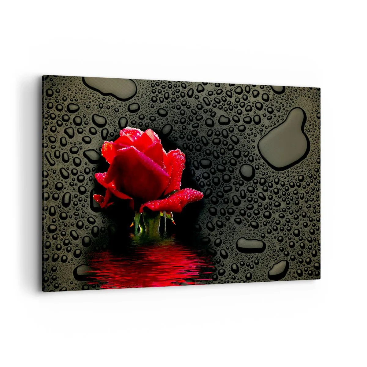Obraz na plátně - Červené a černé - 120x80 cm