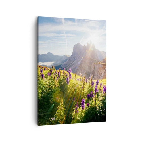 Obraz na plátně - Tajemný život bylin - 50x70 cm