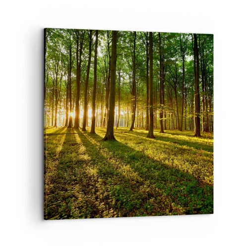 Obraz na plátně - Fotografie všech jar - 50x50 cm