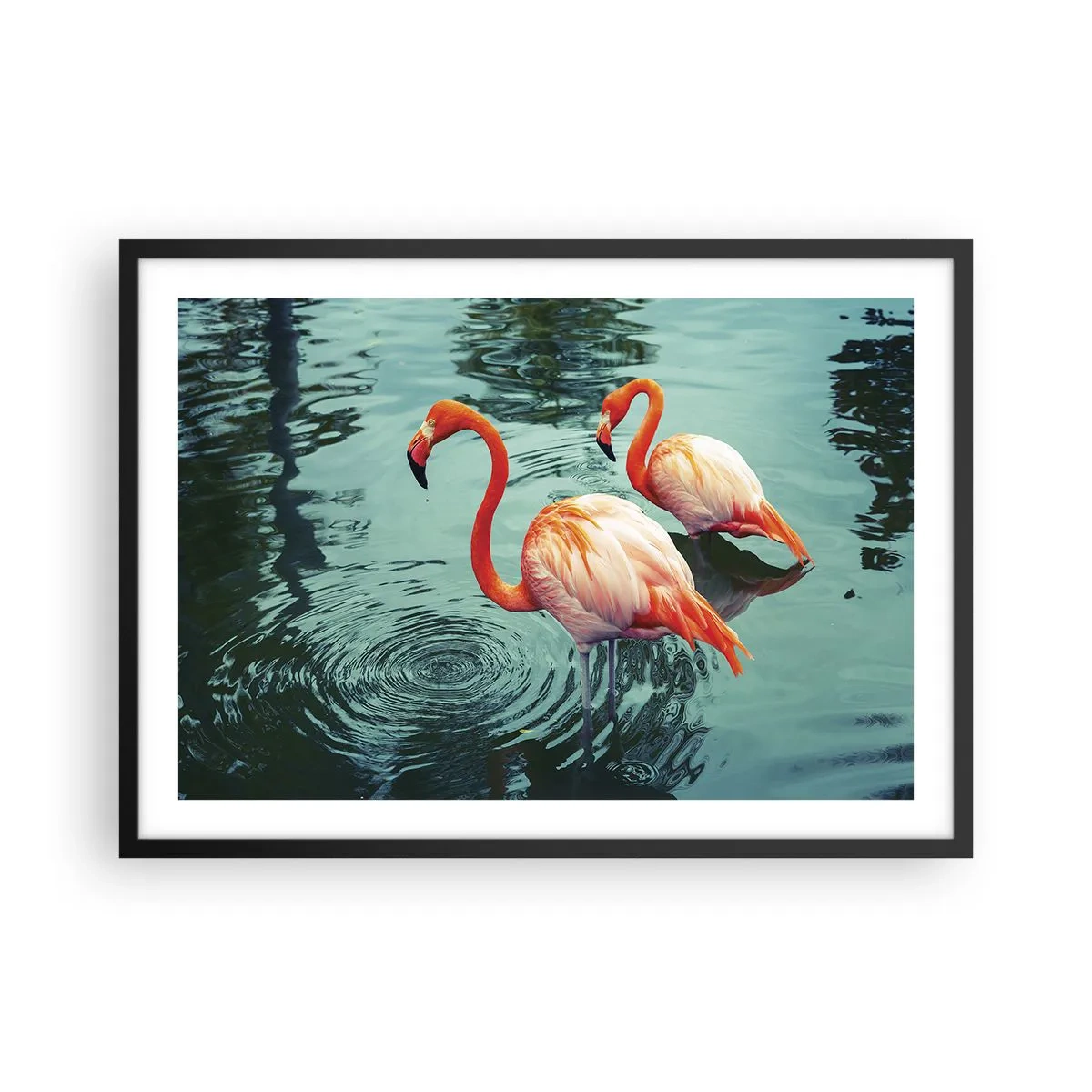 Plakát v černém rámu - Nyní jsme v módě - 70x50 cm