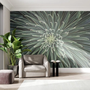 Fototapeta Premium Sand - Zrození hvězdy - Květ agáve, Agáve, Květiny - 500x350 cm