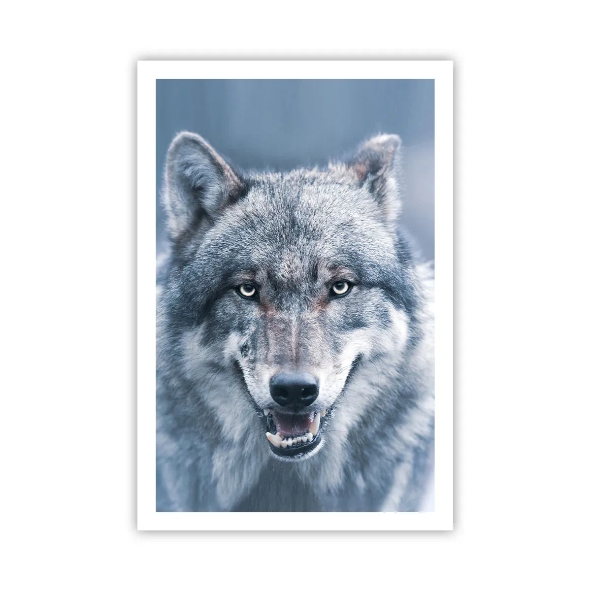 Plakát - Přijmete tuto výzvu? - 61x91 cm