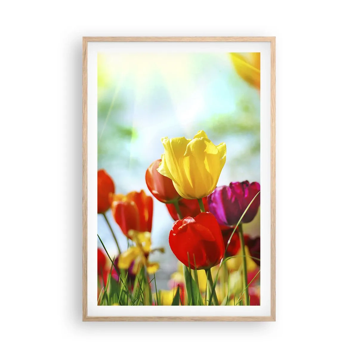Plakát v rámu světlý dub - Všechny barvy slunce - 61x91 cm
