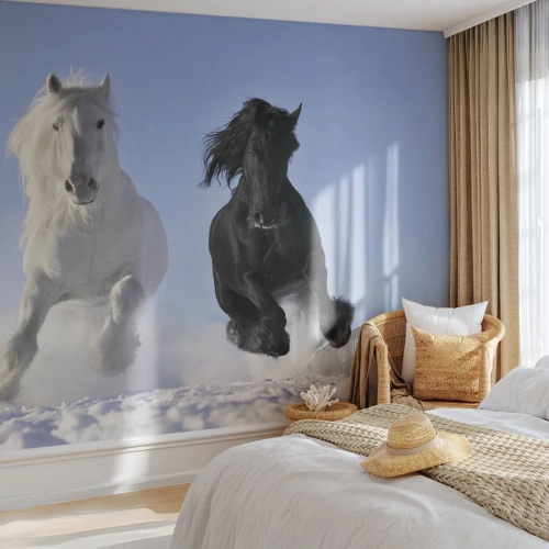 Fototapeta Samolepicí Deluxe Sticker - Černo-bílý cval - Zvířata, Kůň, Zima - 250x175 cm