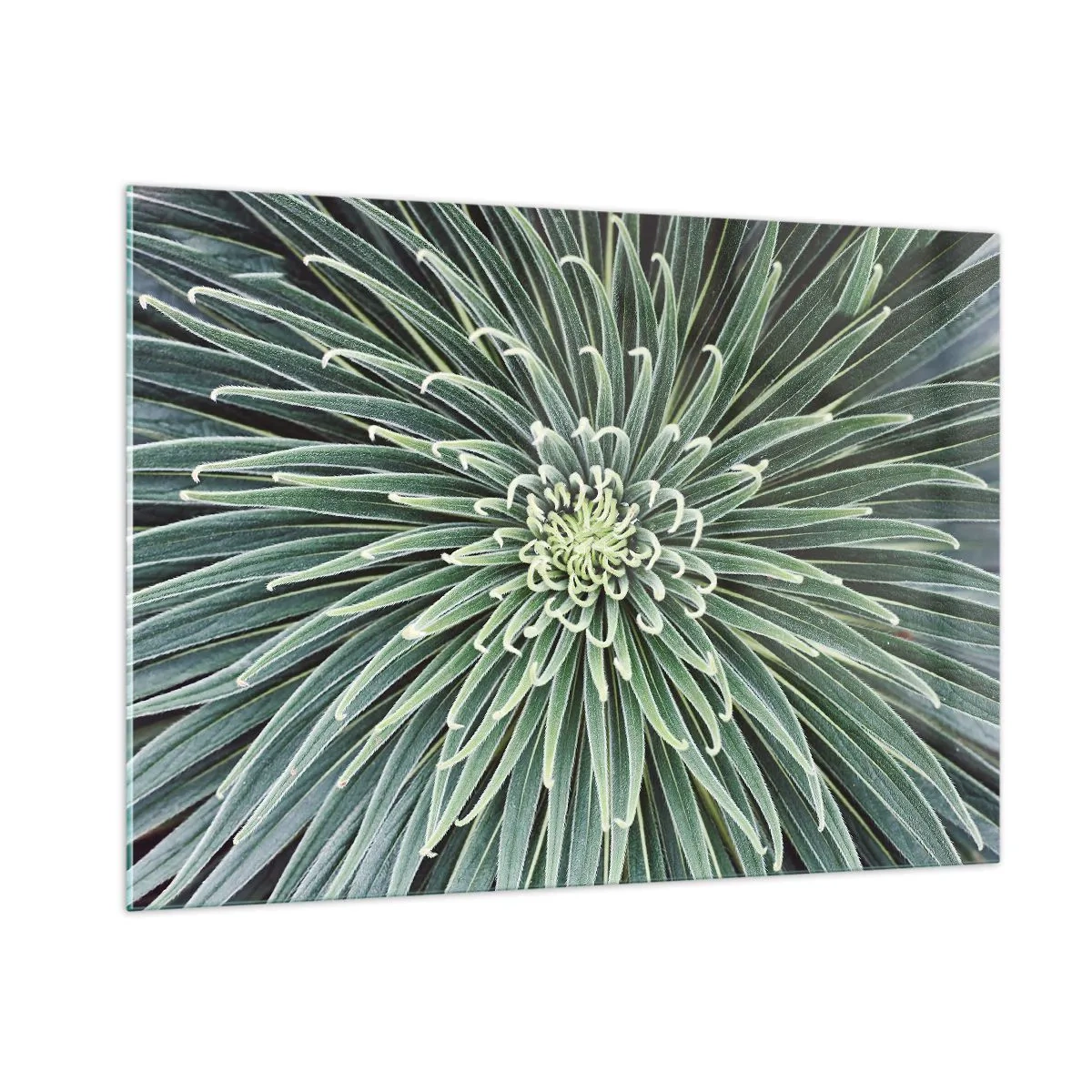 Obraz na skle - Zrození hvězdy - 100x70 cm