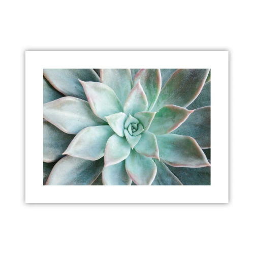 Plakát - Srdce pouště - 40x30 cm