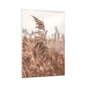Obraz na skle - Na polích už je podzim - 50x70 cm