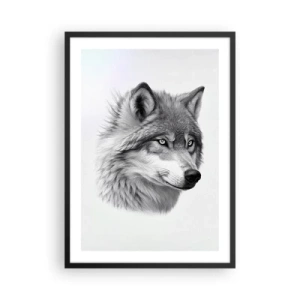 Plakát v černém rámu - Realistický portrét vlka v odstínech šedé. - 50x70cm - Alfa – bezpochybně - Moderní nástěnná dekorace do obývacího pokoje a ložnice ARTTOR