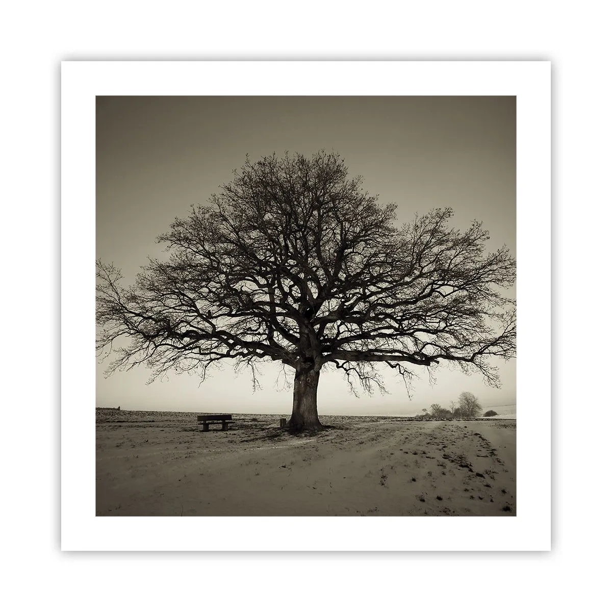 Plakát - Odtud až na věčnost - 50x50 cm