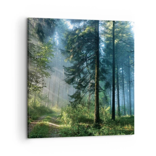 Obraz na plátně - Zářící za úsvitu - 50x50 cm