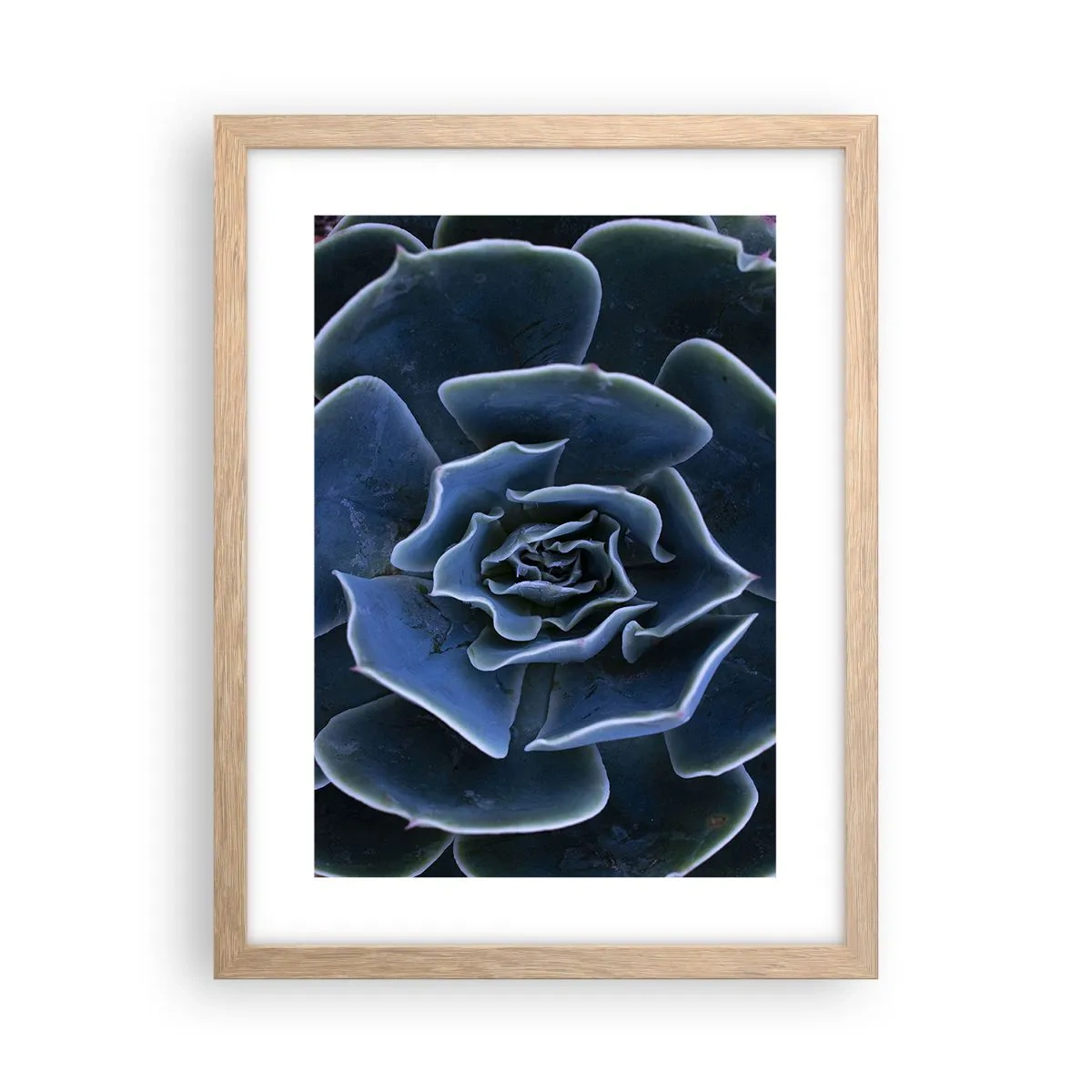 Plakát v rámu světlý dub - Pouštní květ - 30x40 cm