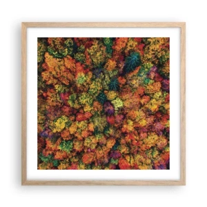 Plakát v rámu světlý dub - Kytice podzimních stromů - 50x50 cm