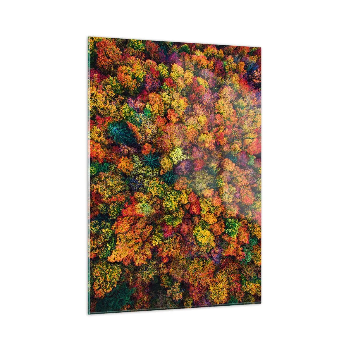 Obraz na skle - Kytice podzimních stromů - 50x70 cm