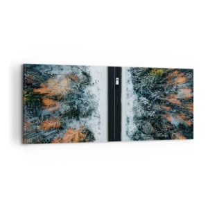 Obraz na plátně - Přes zimní les - 100x40 cm