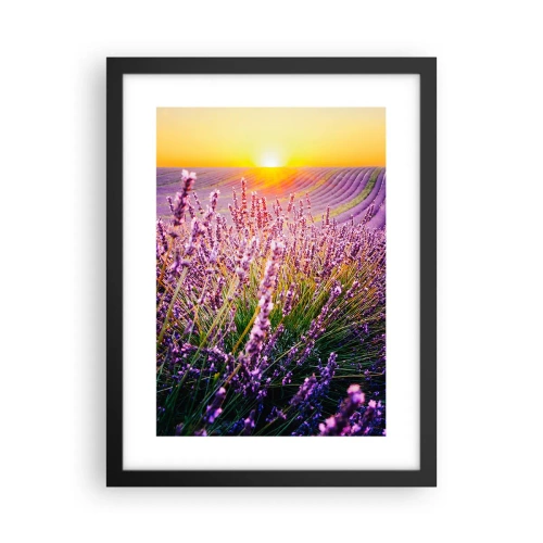 Plakát v černém rámu - Voňavý lán - 30x40 cm