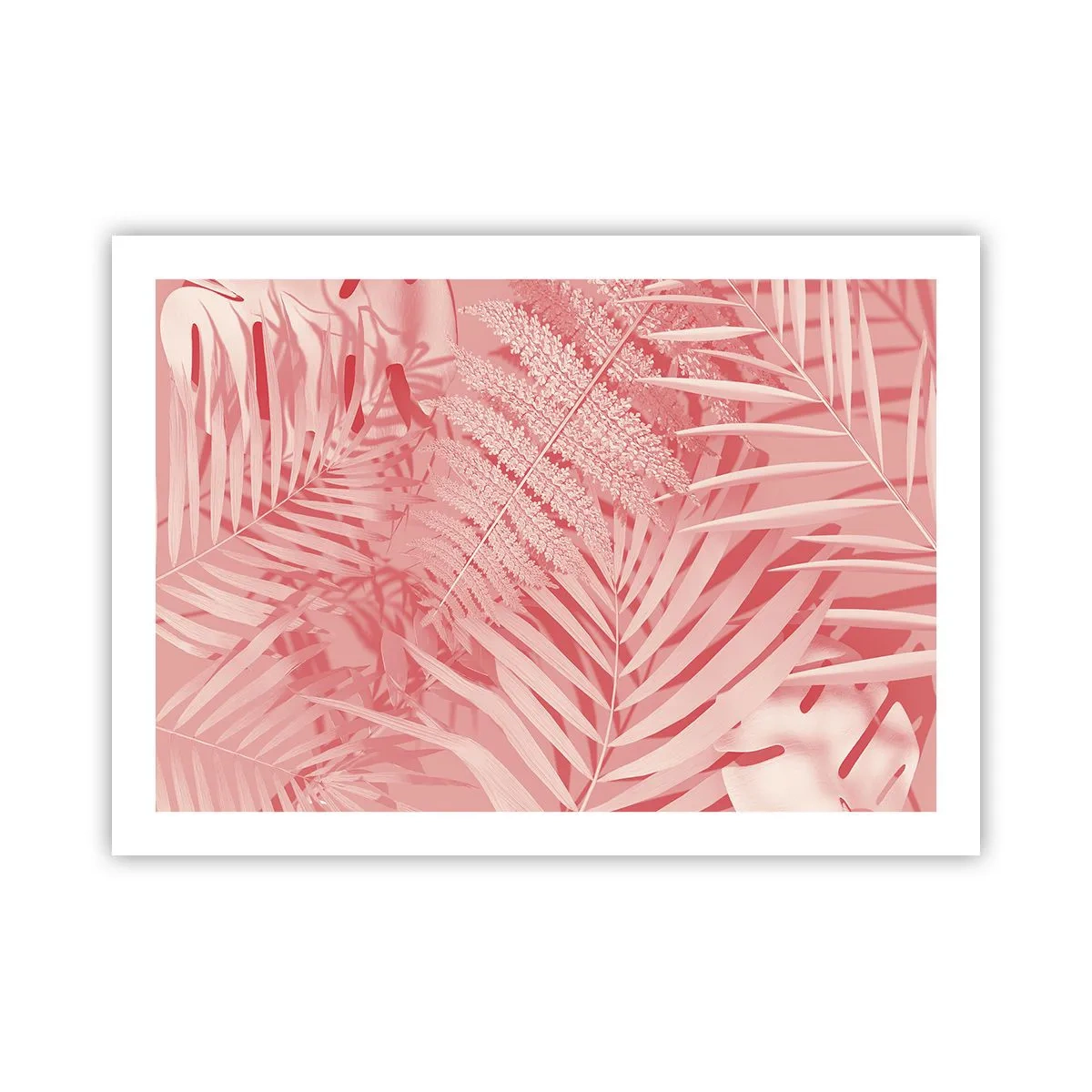 Plakát - Růžový koncept - 70x50 cm