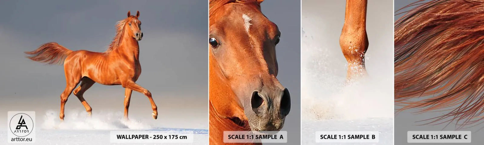 Fototapeta Vzorek Standard Eco - Tančící elegance - Zvířata, Kůň, Příroda - 100x30 cm