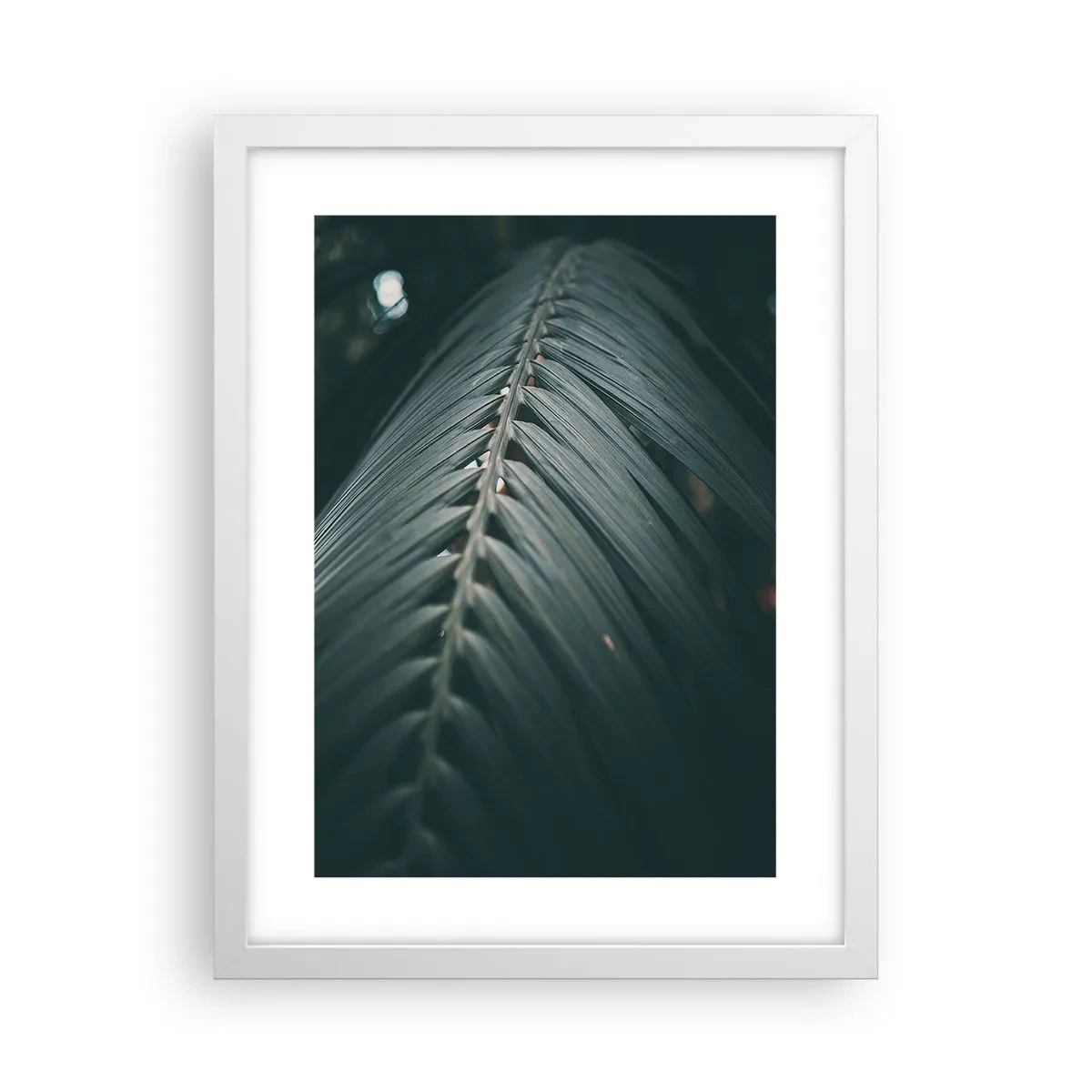Plakát v bílém rámu - Přesnost přírody - 30x40 cm