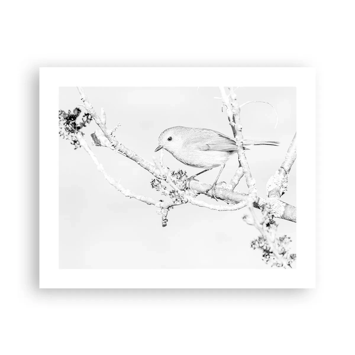 Plakát - Zimní ráno - 50x40 cm