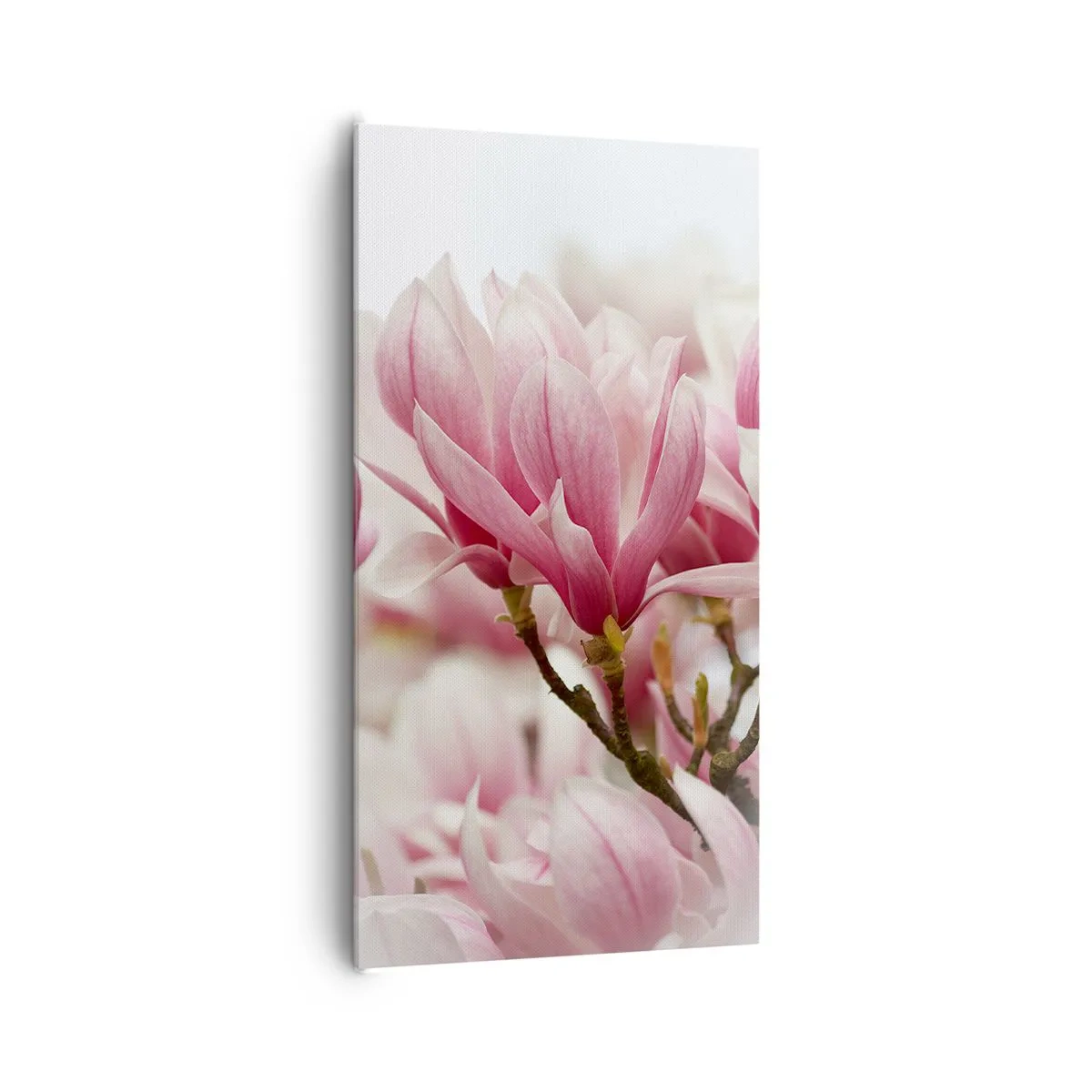 Obraz na plátně - Jarní květy - 65x120 cm